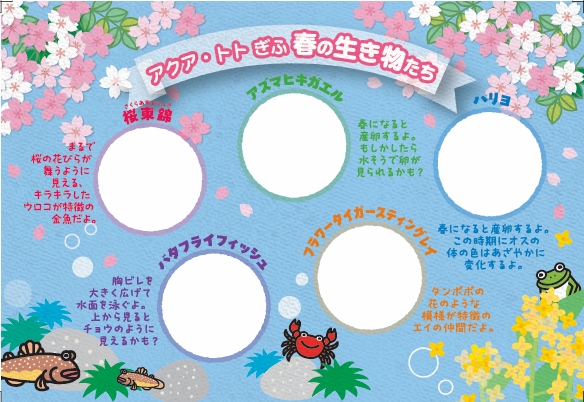 春の生き物スタンプラリー