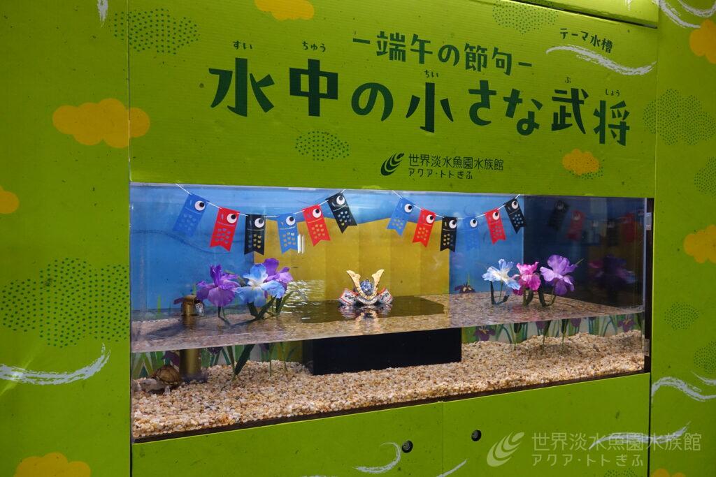 -端午の節句-水中の小さな武将