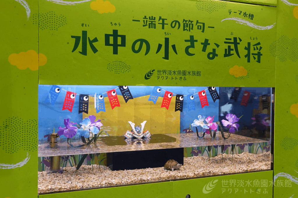 -端午の節句-水中の小さな武将