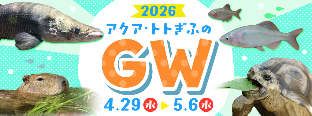 アクア・トト ぎふのゴールデンウィーク