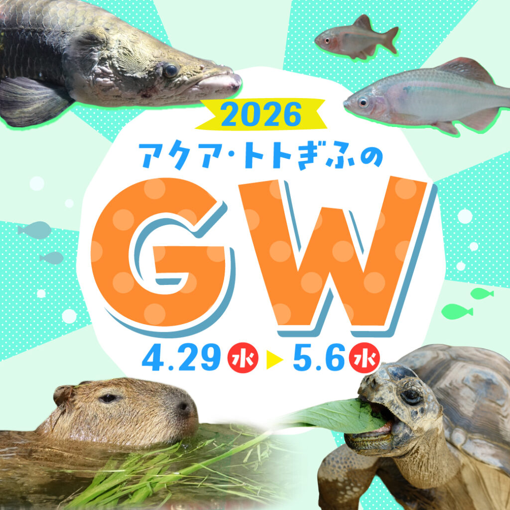 アクア・トト ぎふのゴールデンウィーク