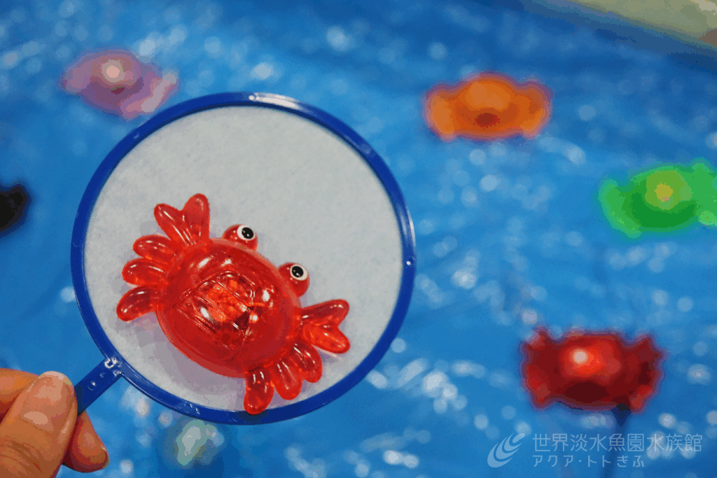 カニカニまつりのトト縁日