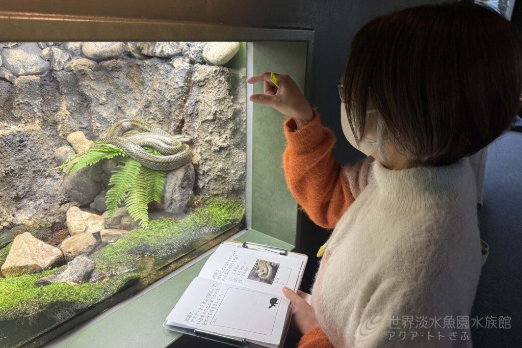 激ムズ!クイズラリーに挑戦!!