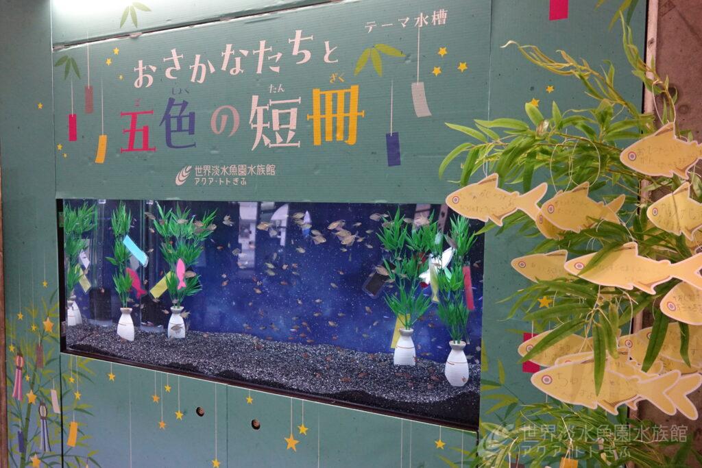 おさかなたちと五色の短冊