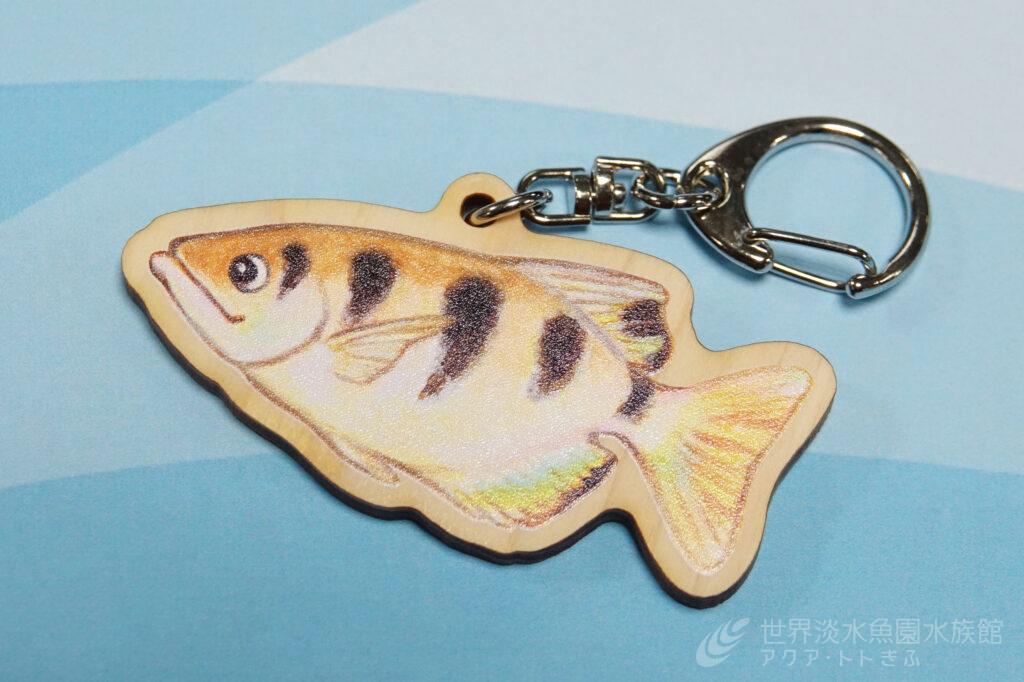 夏のトト縁日