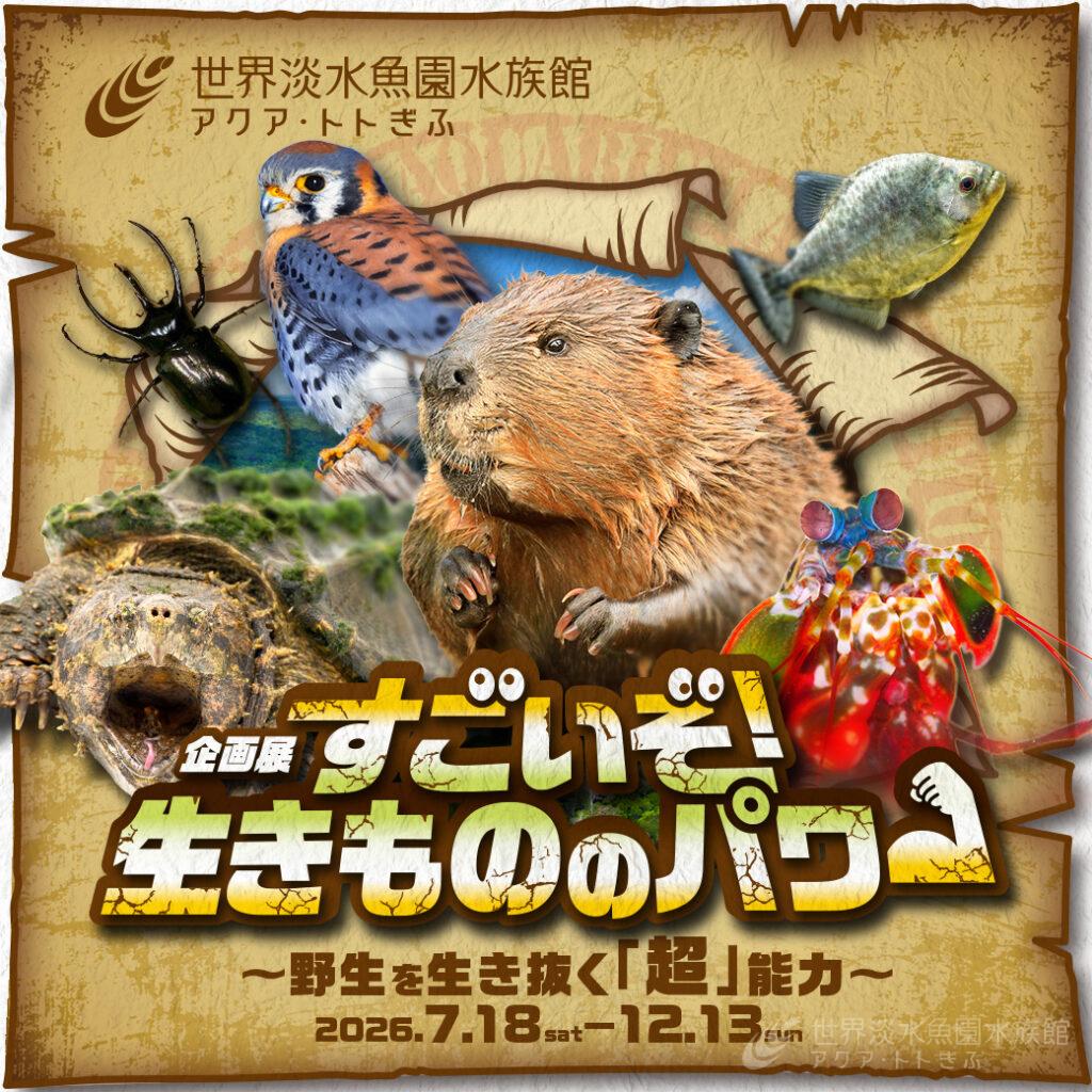 すごいパワーが大集合！