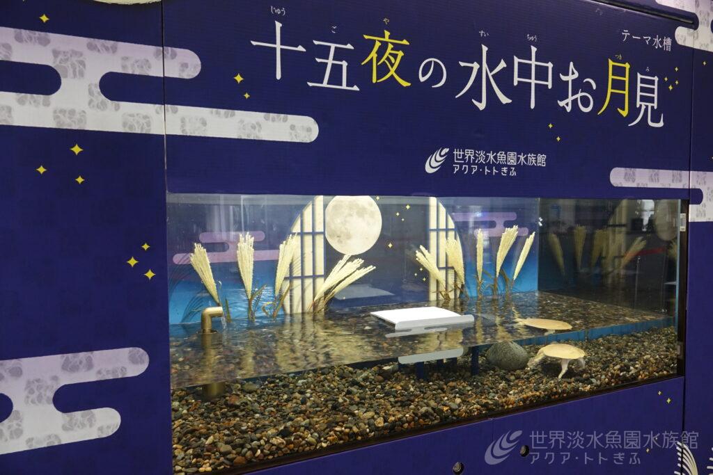 十五夜の水中お月見