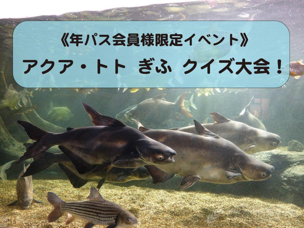 アクア・トト ぎふ　クイズ大会！