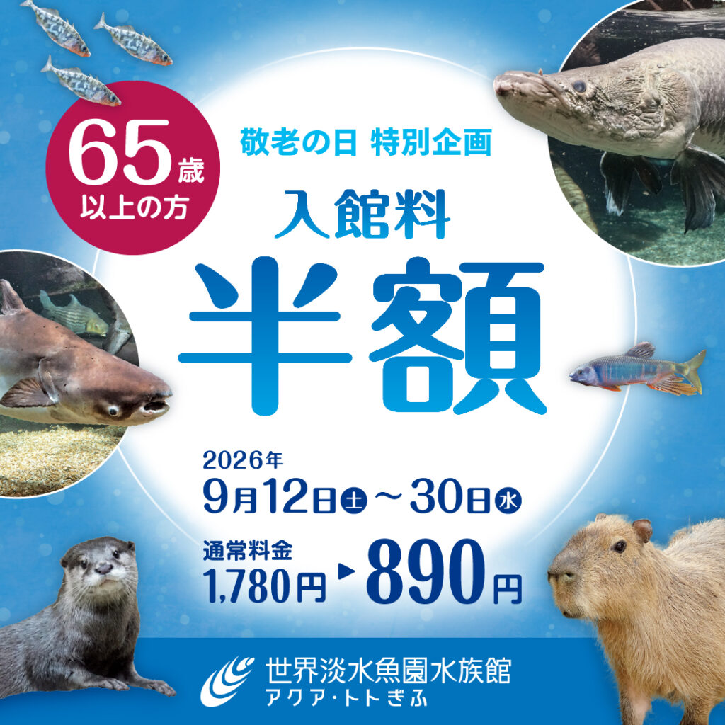 敬老の日 特別企画　65歳以上の方 入館料半額