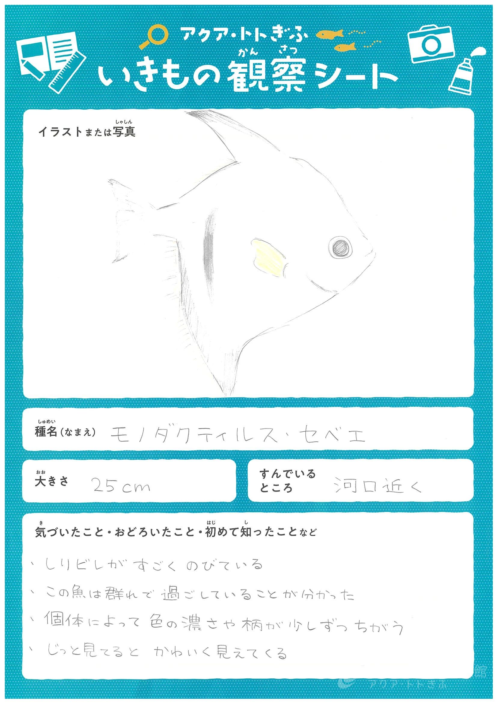 立川 蒼依