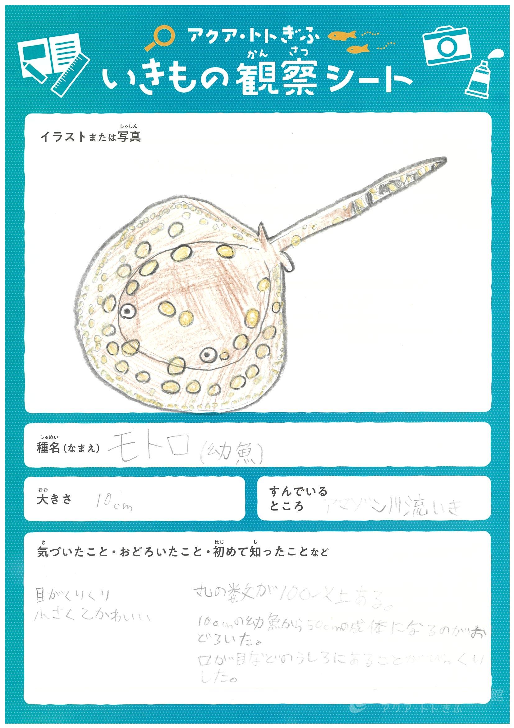 安井 美詞