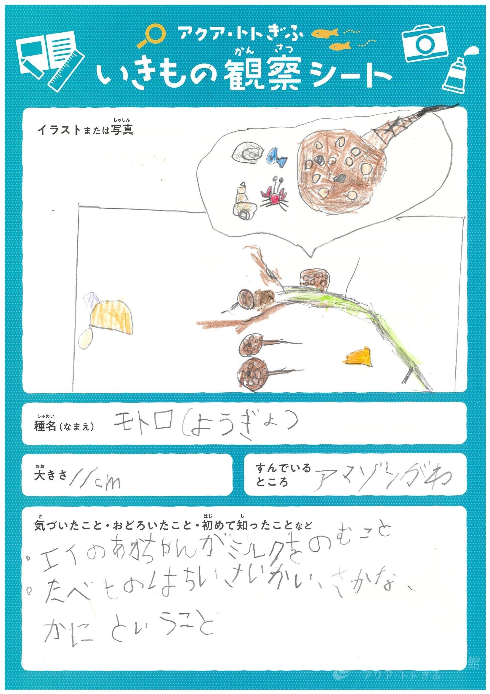 小林 煌斗