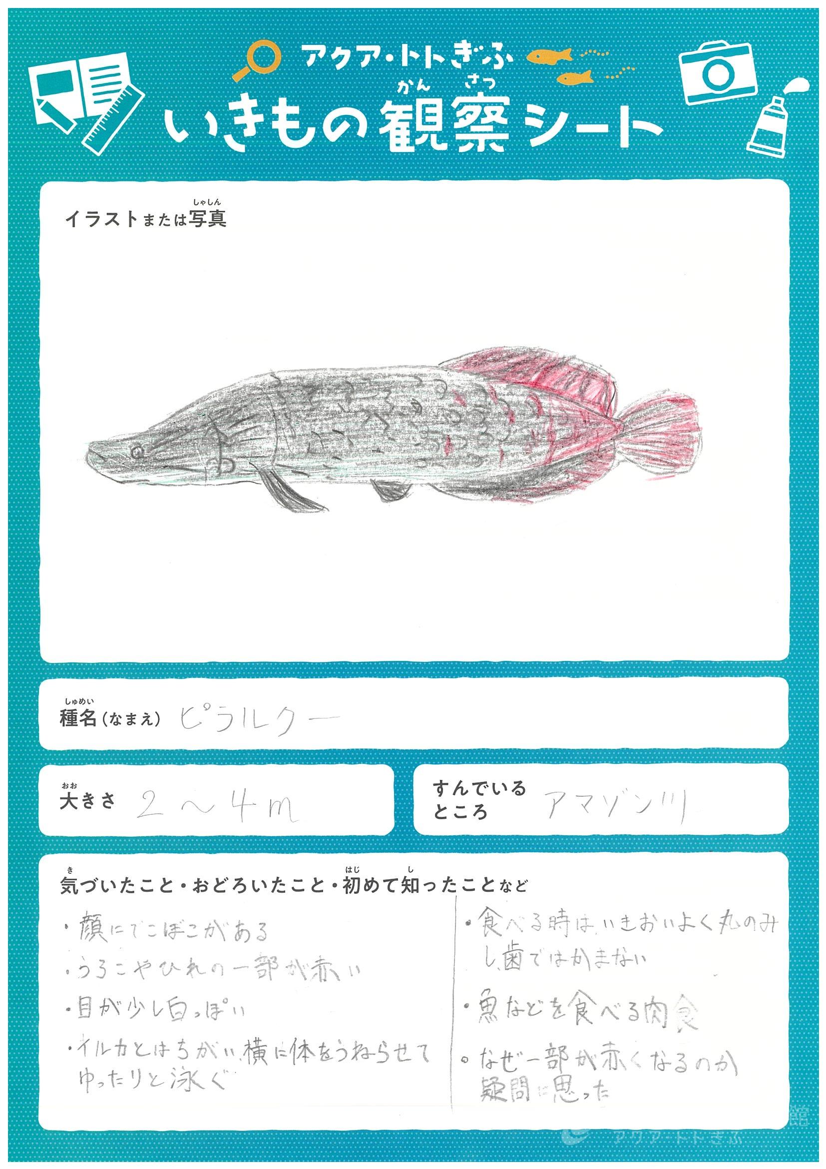 川那 明日美