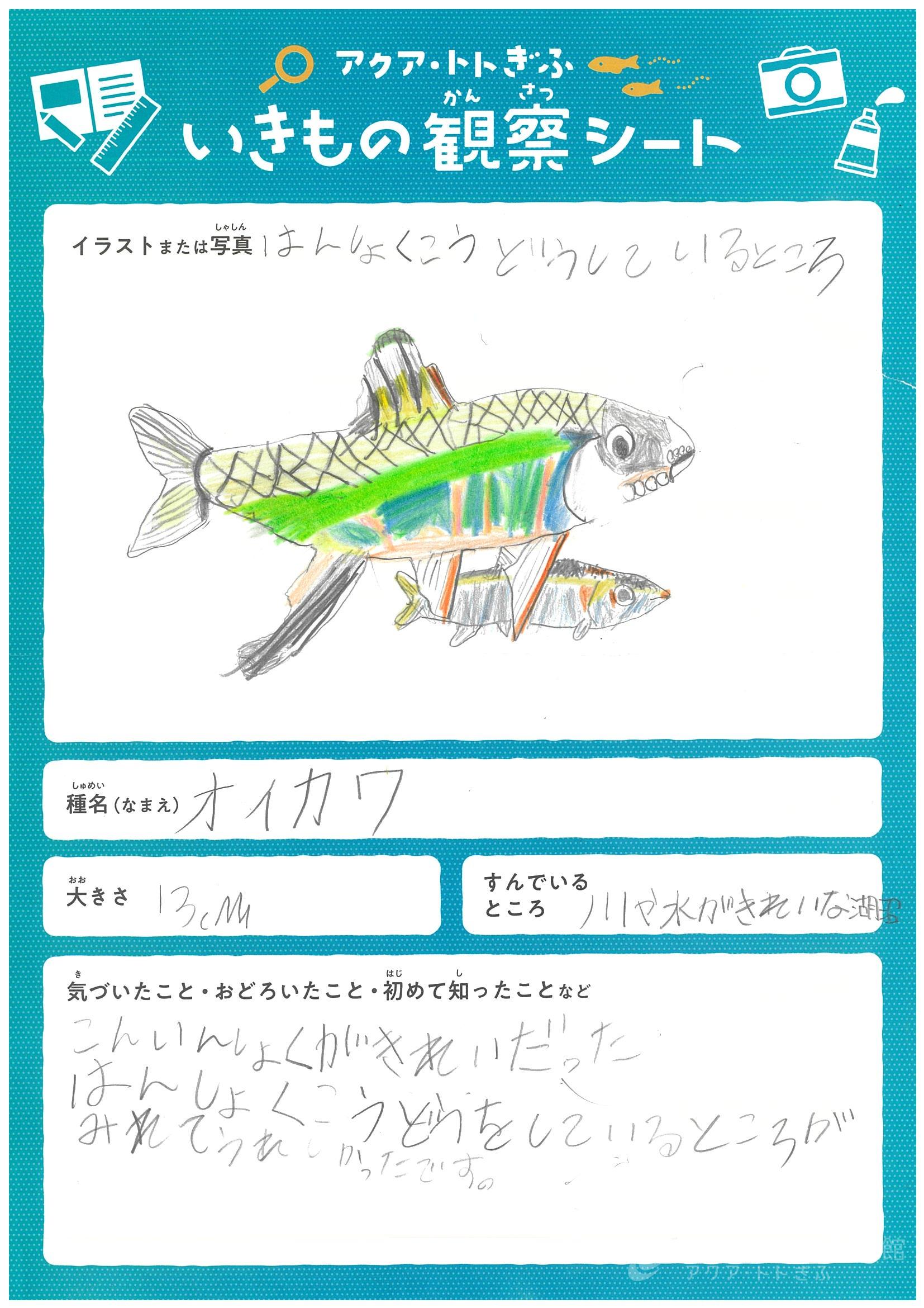 平井 優惺