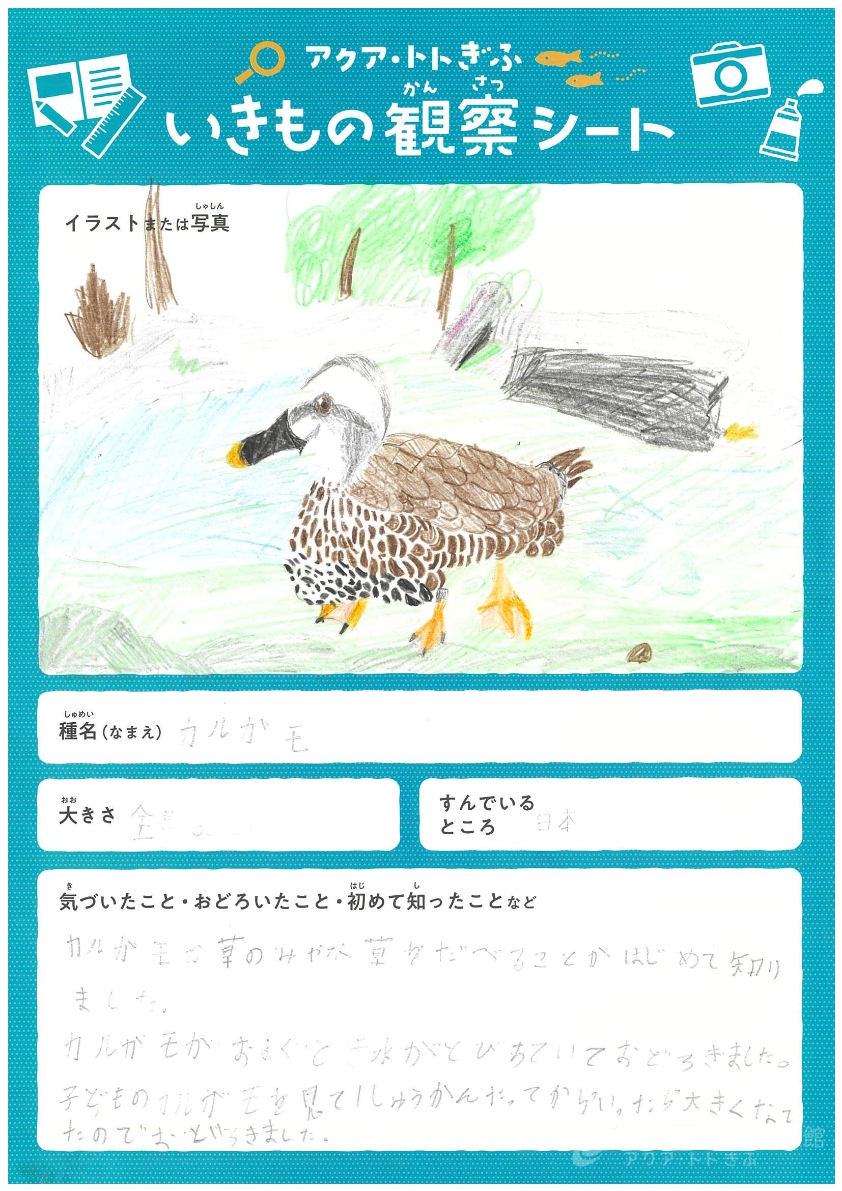 郷 いのり