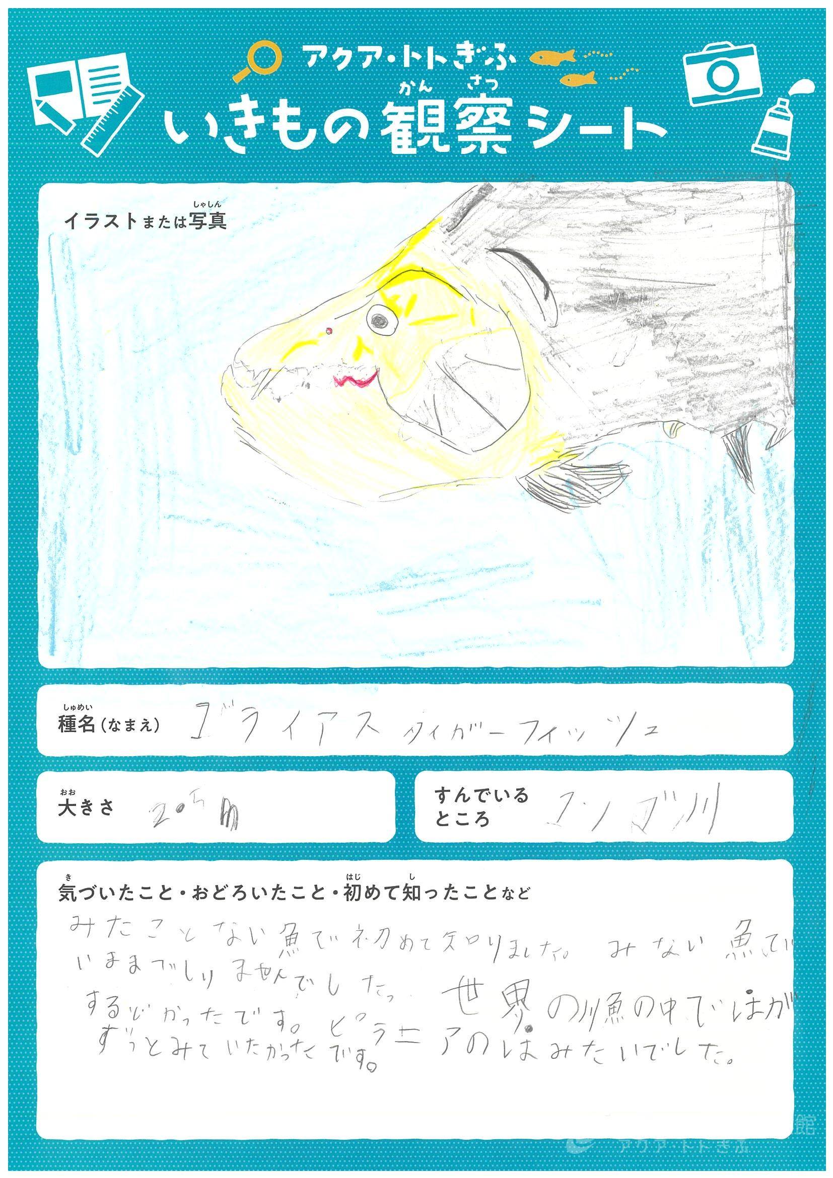 宮本 将輔