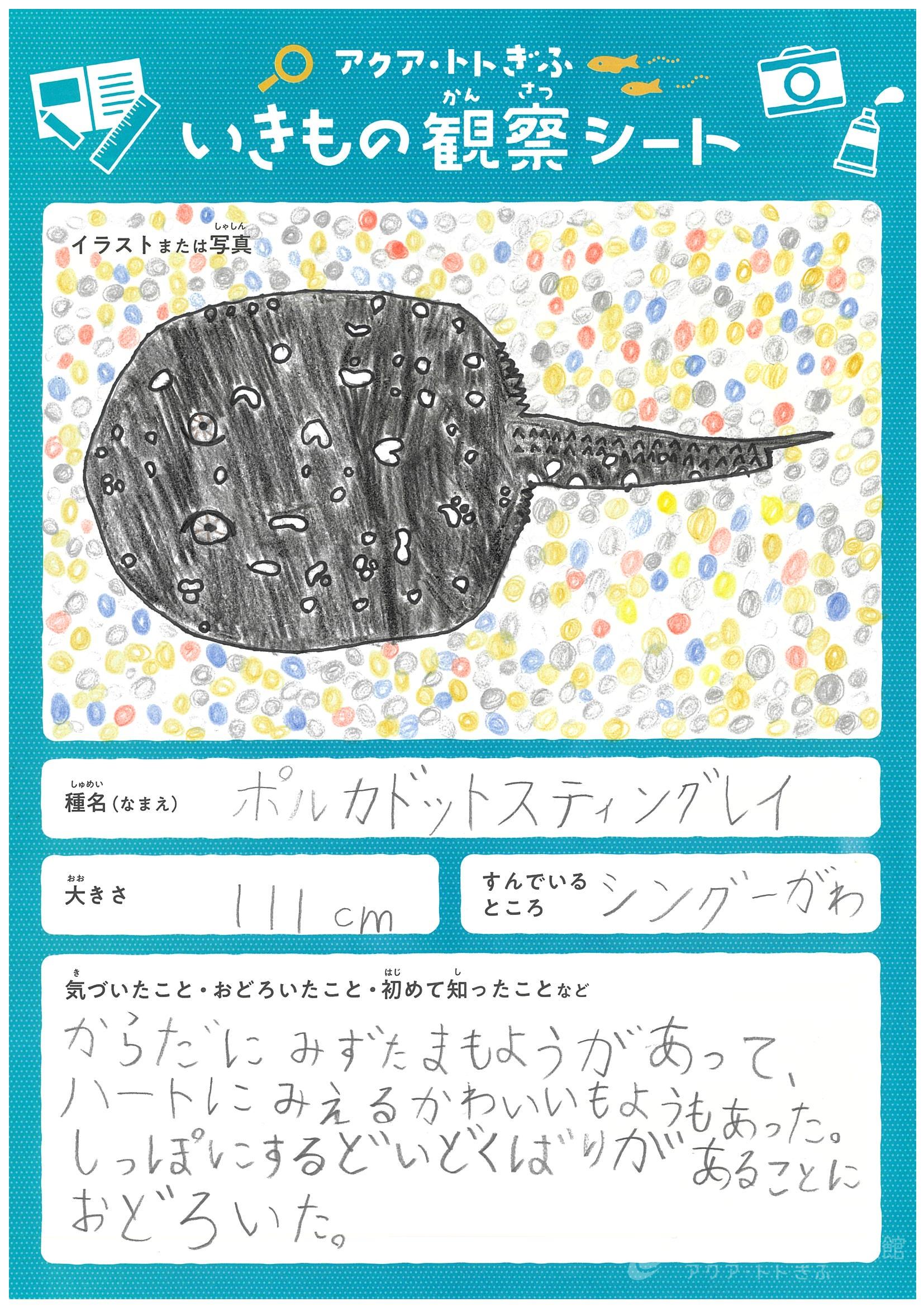 加藤 衣智花