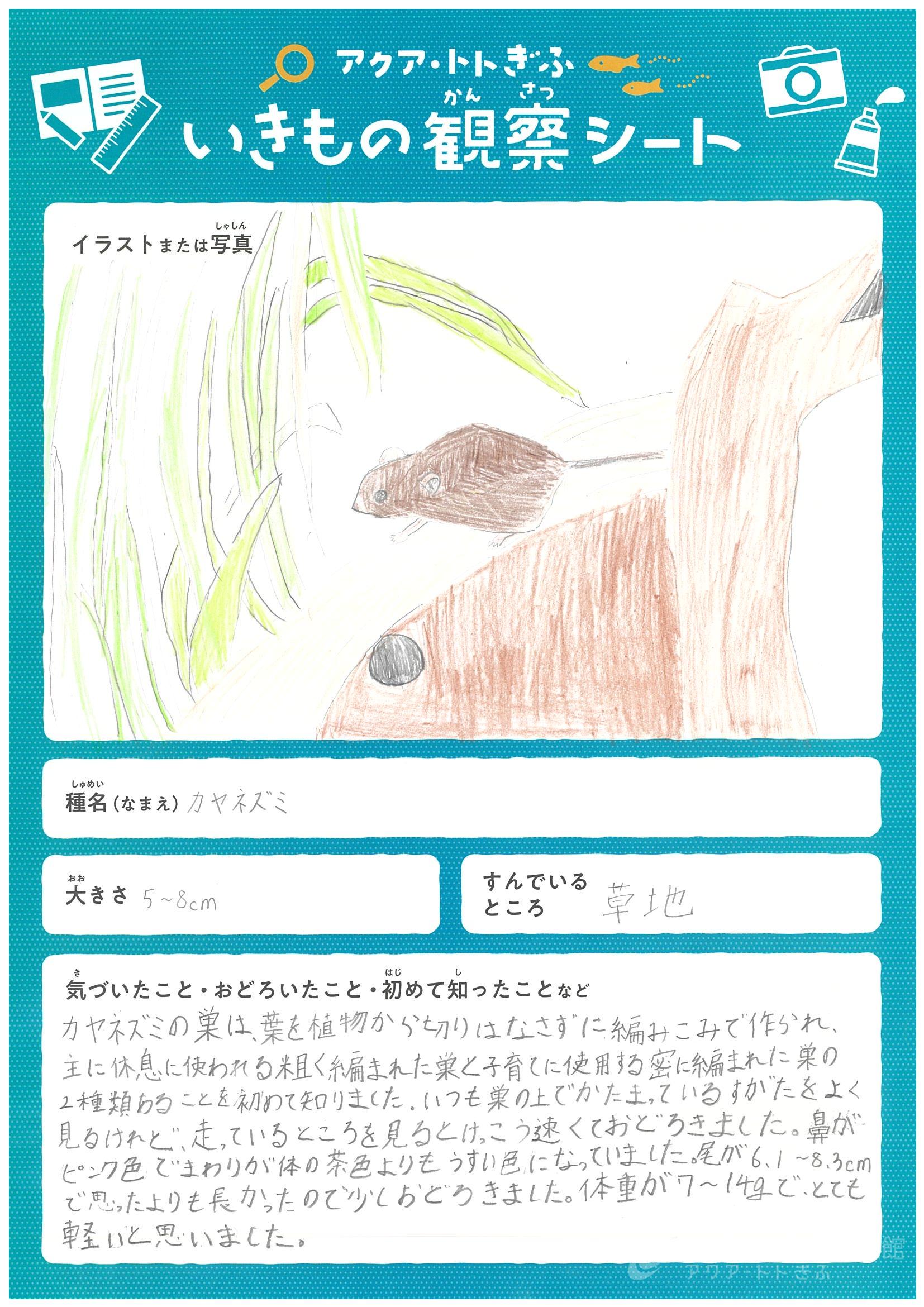 稲垣 奏南