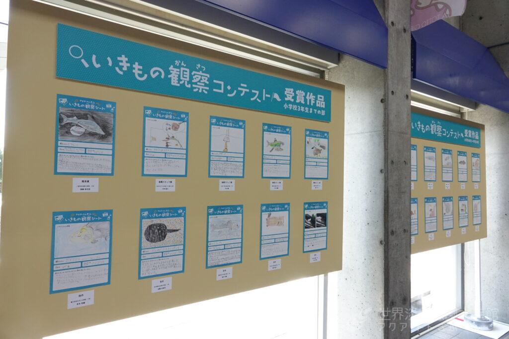 いきもの観察コンテスト　受賞作品を展示
