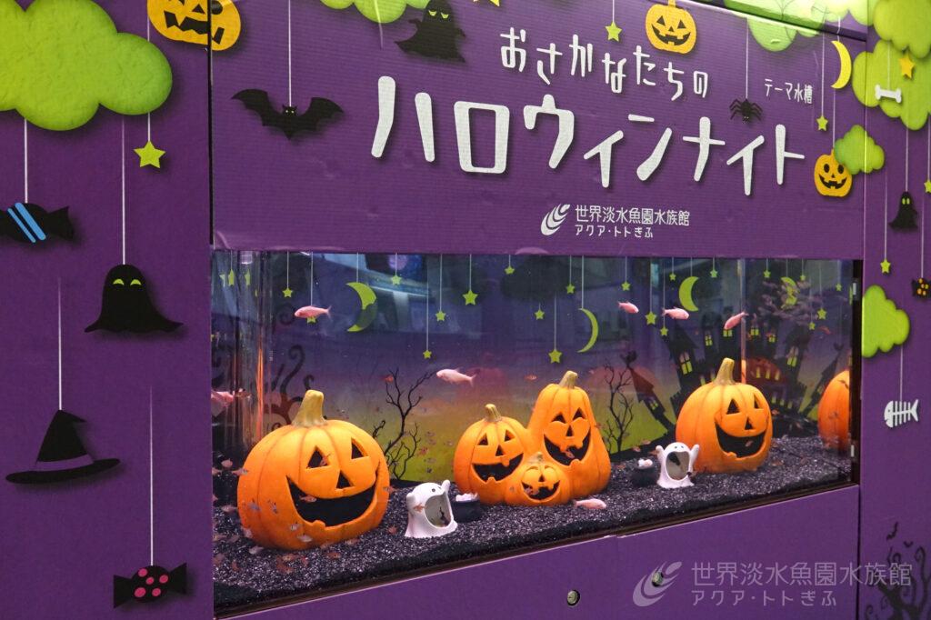 おさかなたちのハロウィンナイト