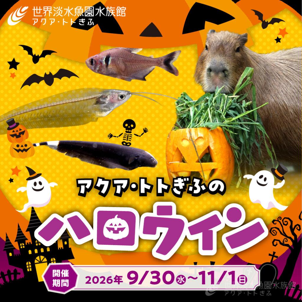 アクア・トト ぎふのハロウィン